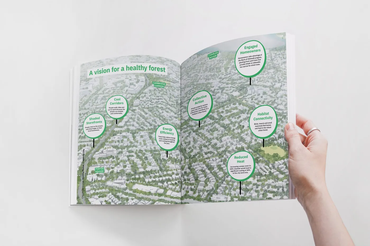 Cambridge Urban Forest Master Plan