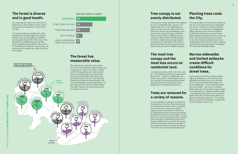 Summary report spread