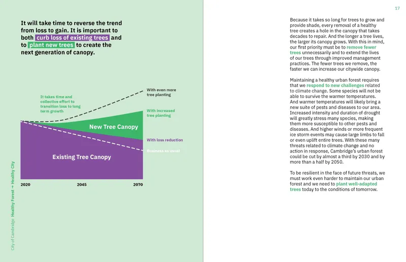 Summary report data spread