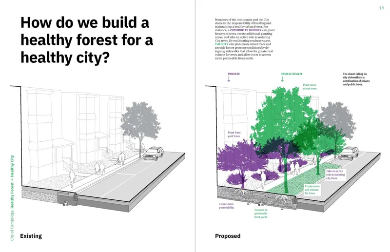 Summary report strategy page