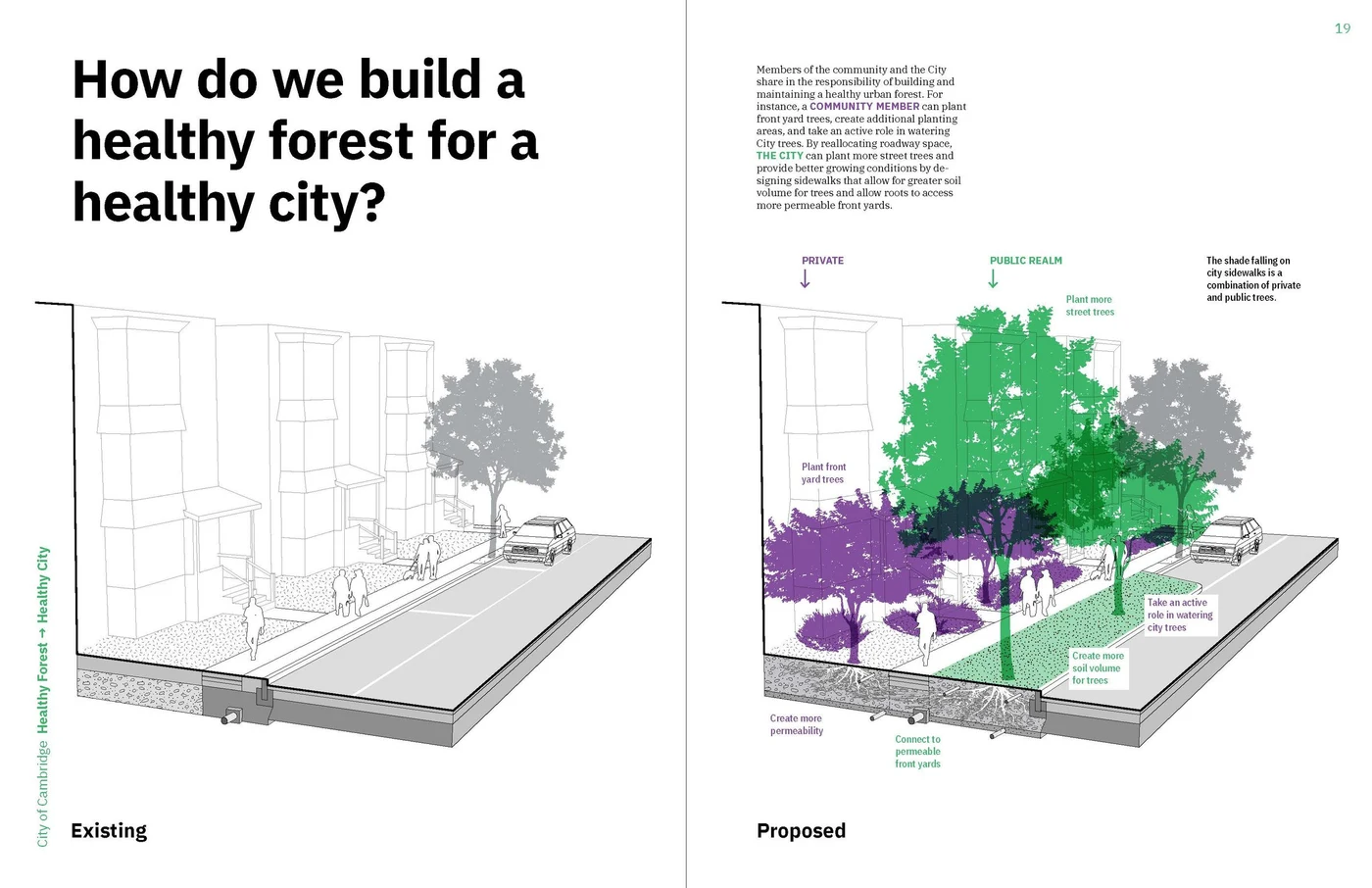 Strategy overview: equitable canopy goals and implementation pathways
