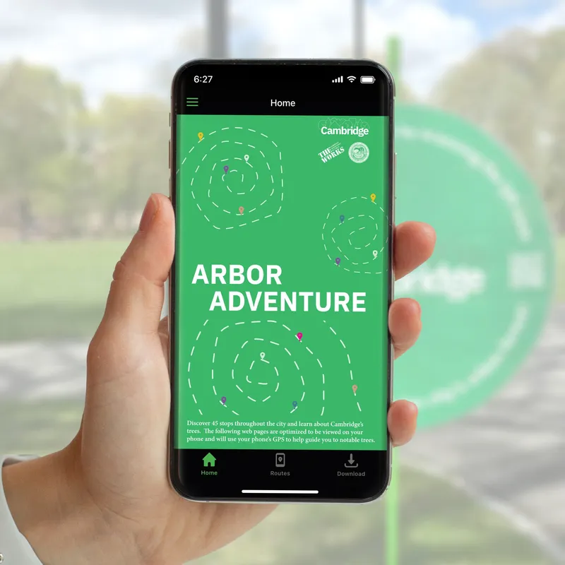Tree Walk app mockup