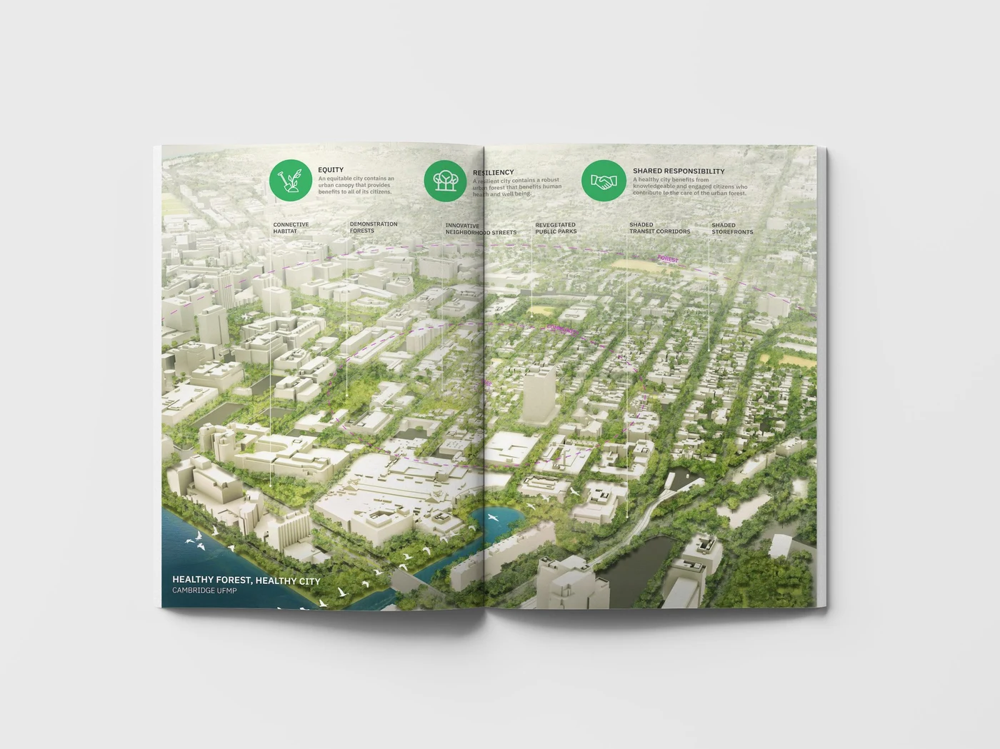 Climate resilience framework: mapping canopy strategy across the city