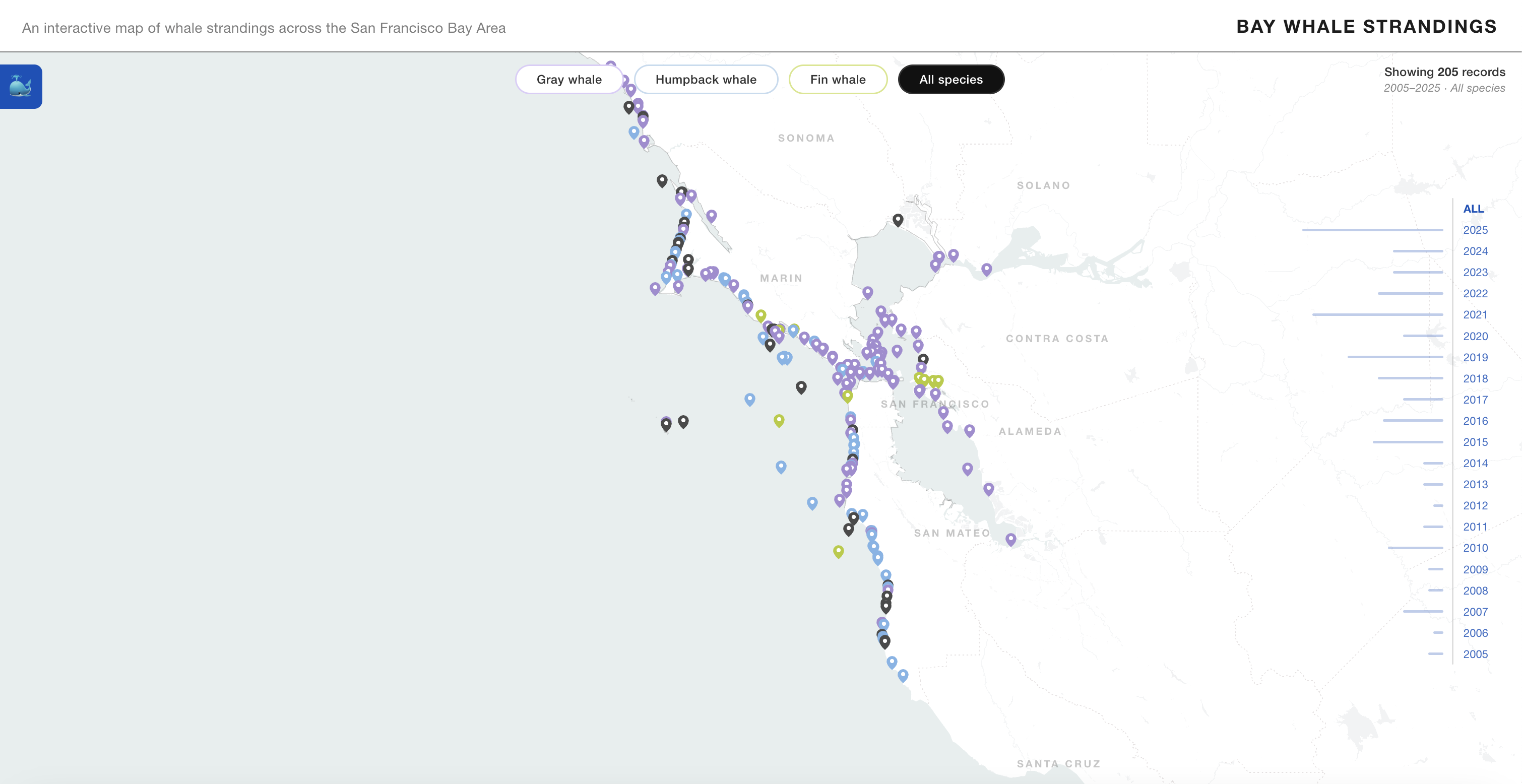 Bay Whale Strandings