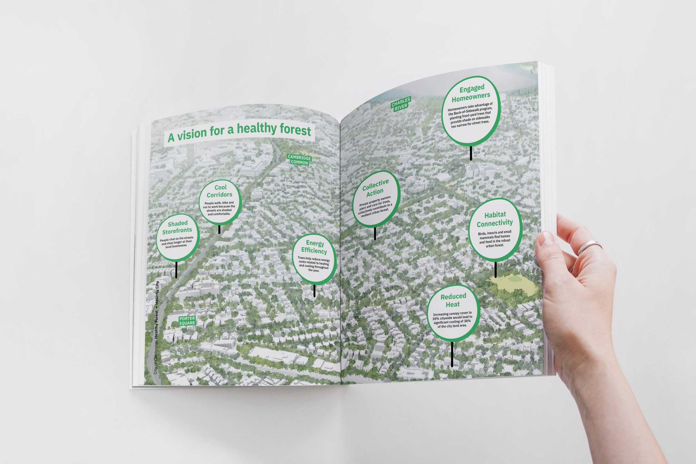 Cambridge Urban Forest Master Plan summary report