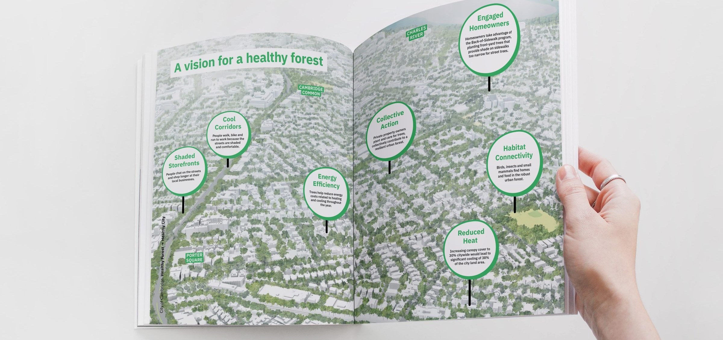 The Cambridge Urban Forest Master Plan public summary report, open to the vision spread