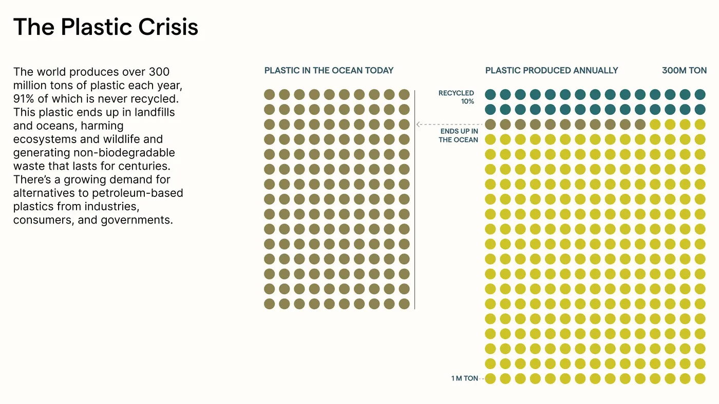 Plastic Crisis