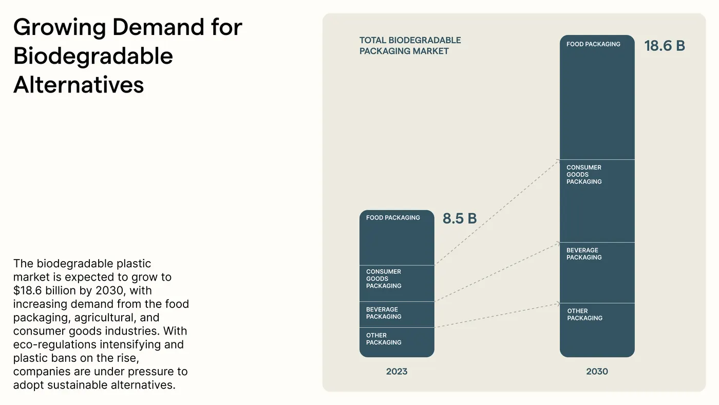 Biodegradable Alternatives