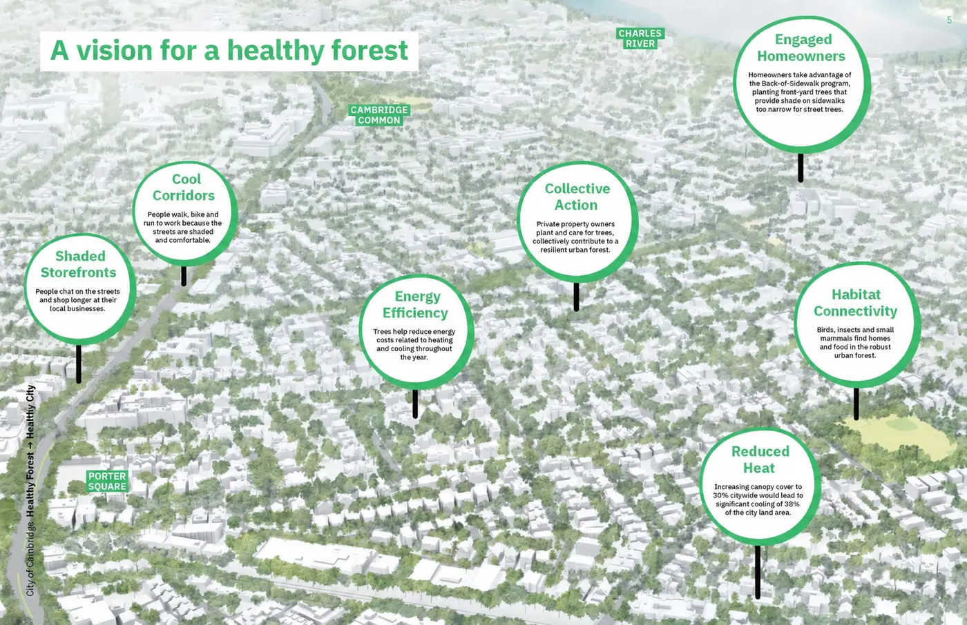 Healthy Forest, Healthy City, CUFMP (RH)