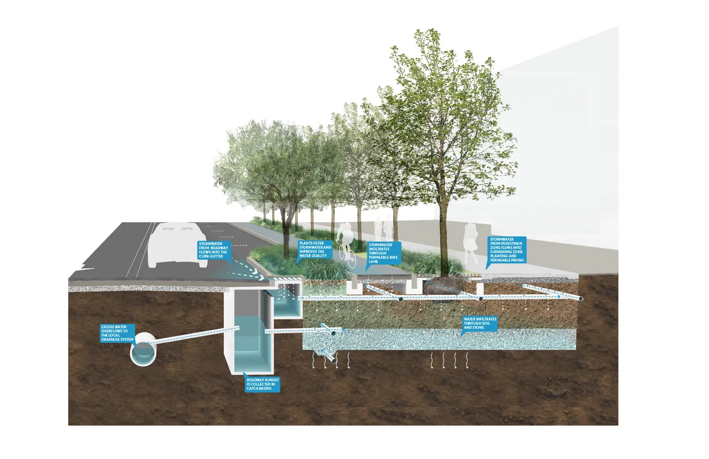 Harvard ERC Stormwater Axon (RH)
