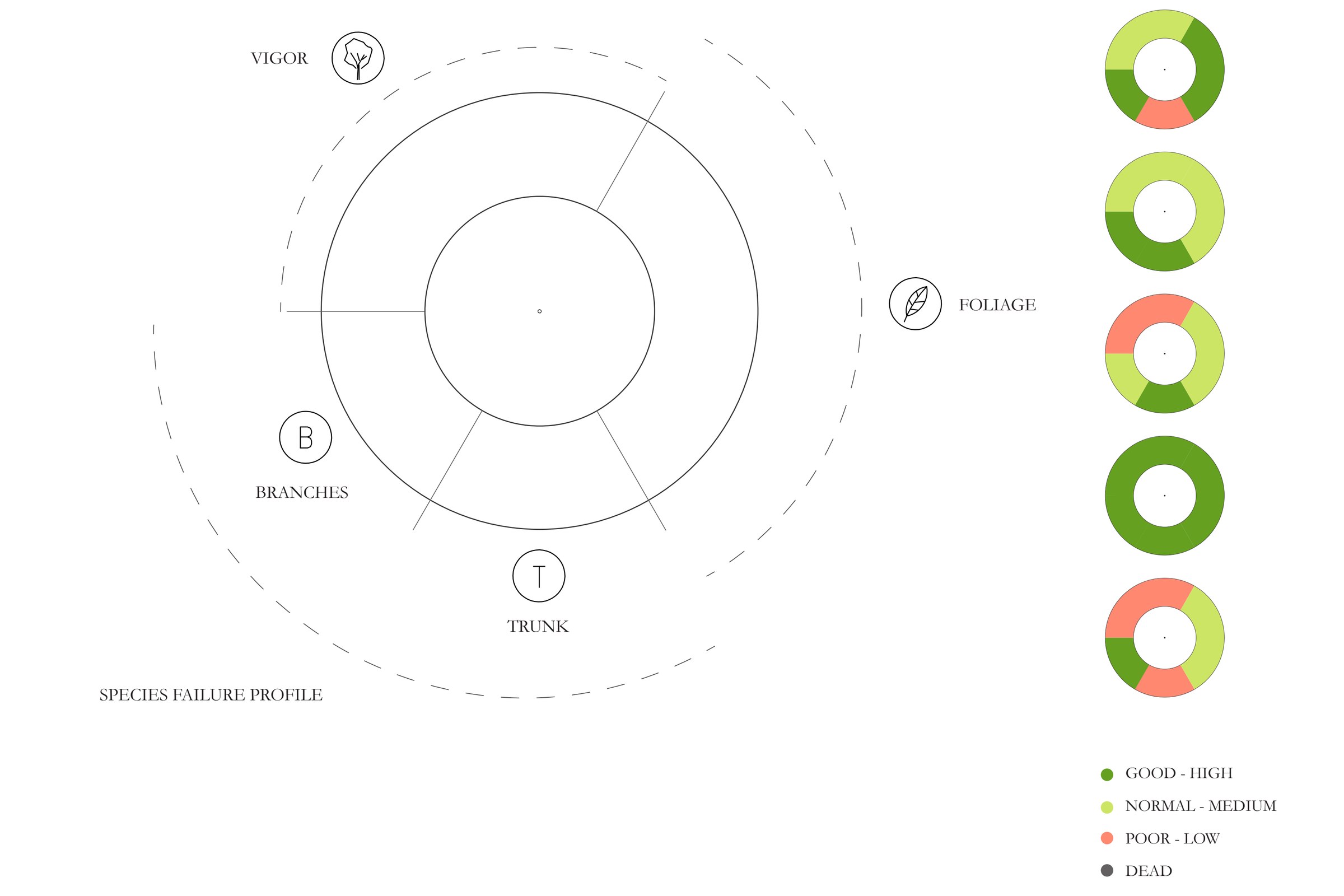 The assessment ring: vigor, foliage, trunk, and branches, rated good, normal, poor, or dead
