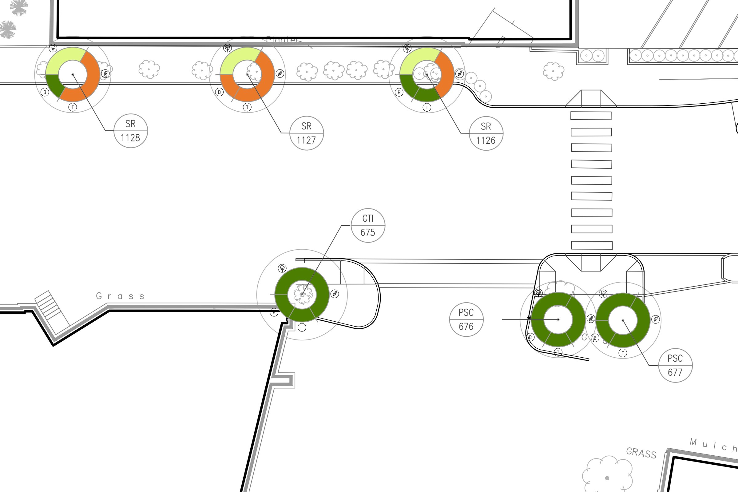 Tree-condition plan: vigor, foliage, trunk, and branches drawn as a ring on every tree, tagged with its species code and MIT inventory number